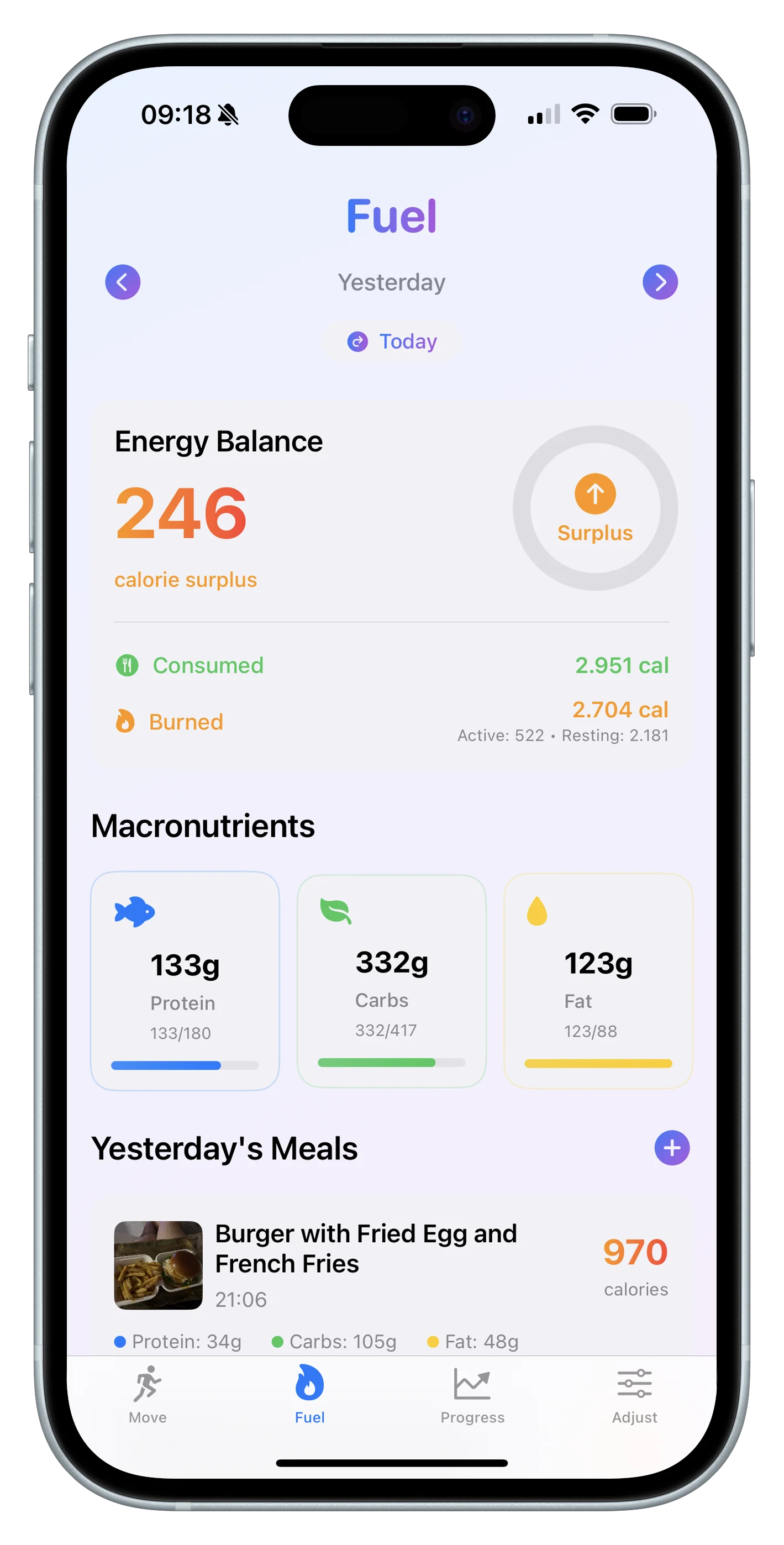 Fuel & Energy Balance